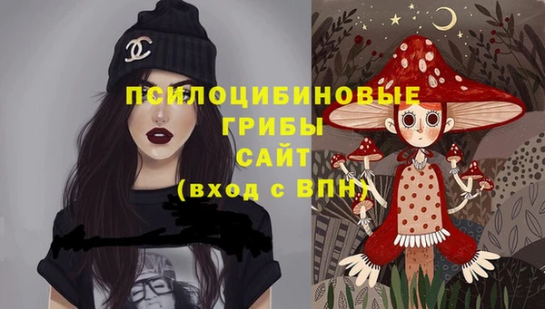 гидропоника Армянск